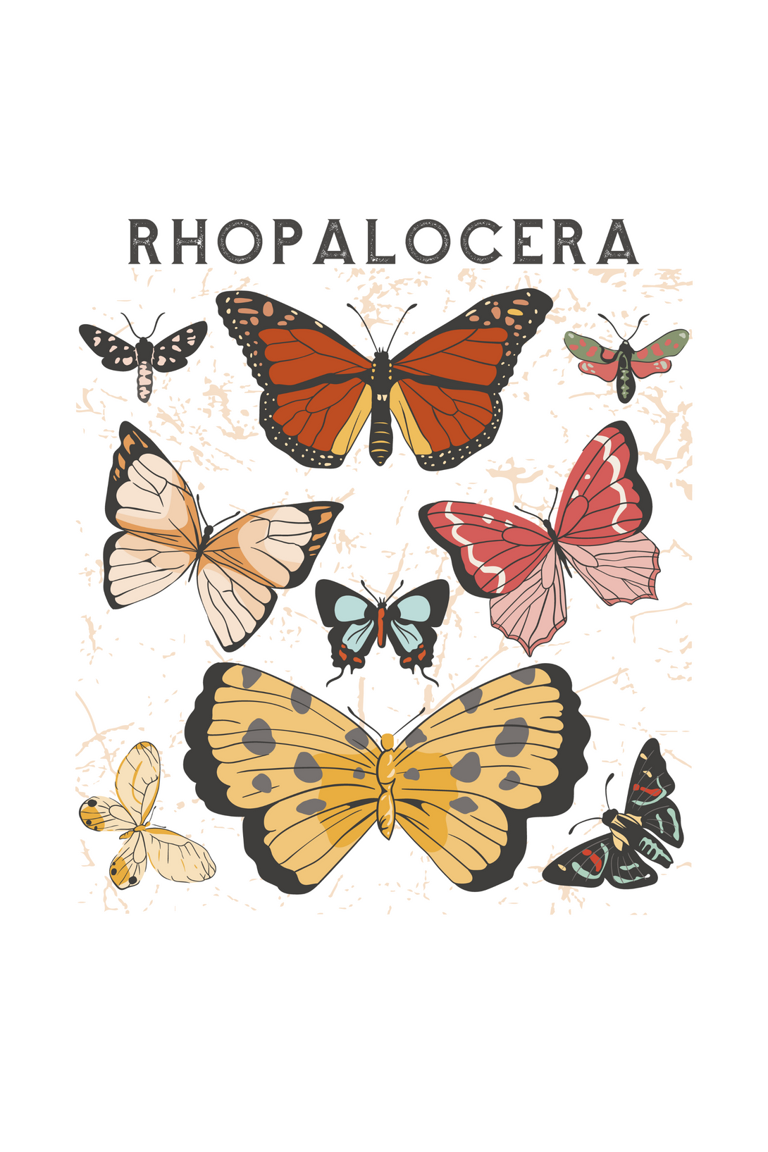 Rhopalocera Printed Scoop Neck T-Shirt For Women - WowWaves - 1