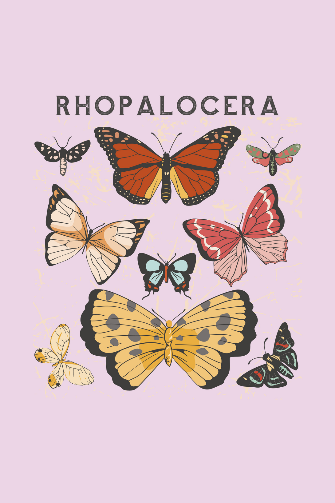 Rhopalocera Printed T-Shirt For Women - WowWaves - 1