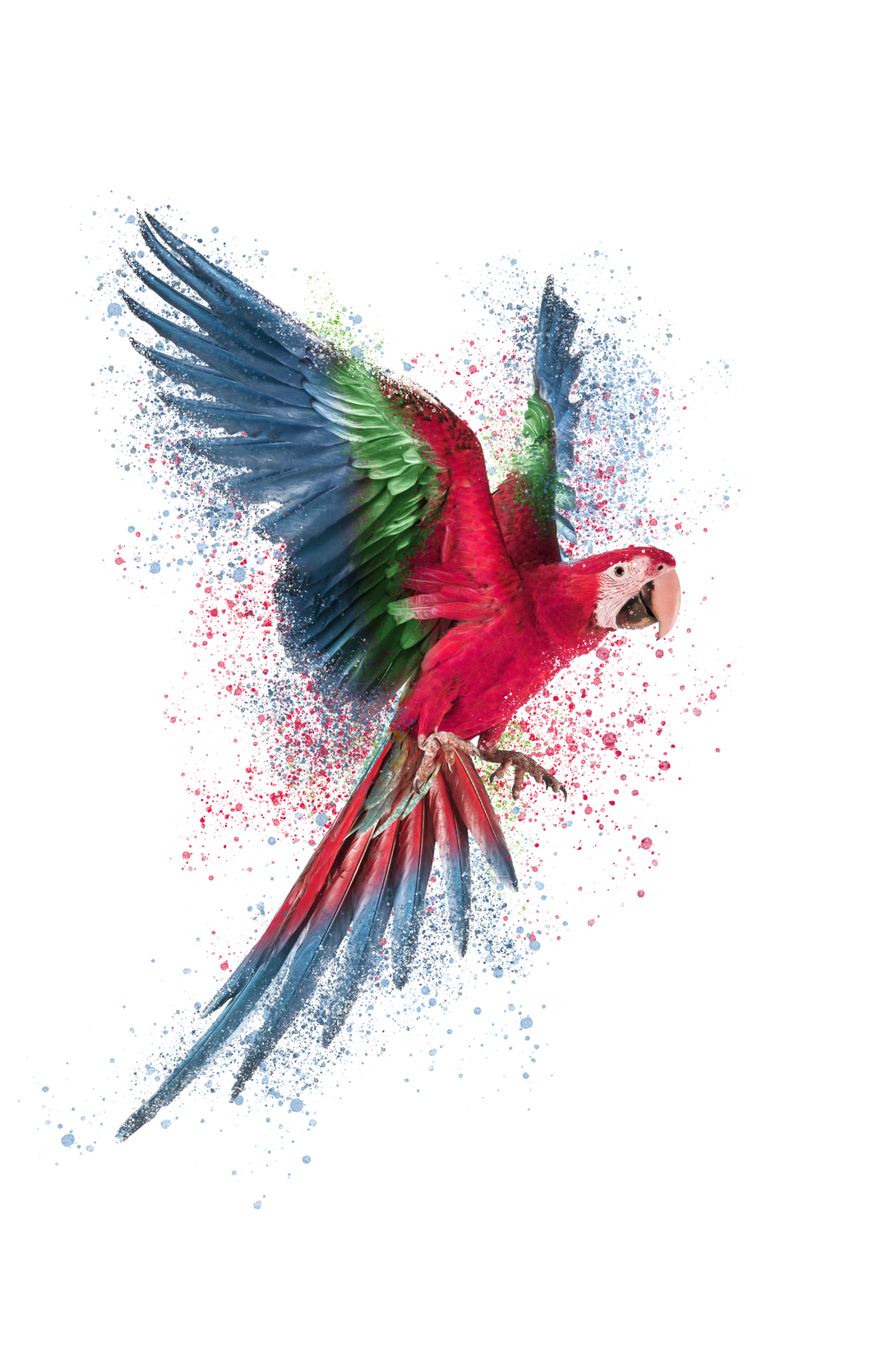 Vibrant Parrot Printed T-Shirt For Women - WowWaves - 1
